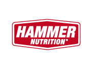 logo hammer 195x136 color l